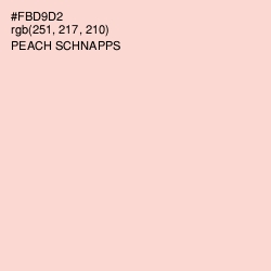 #FBD9D2 - Peach Schnapps Color Image