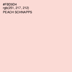 #FBD9D4 - Peach Schnapps Color Image