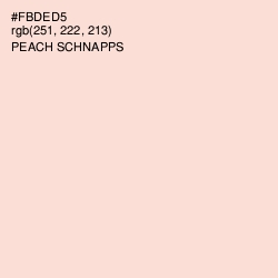 #FBDED5 - Peach Schnapps Color Image