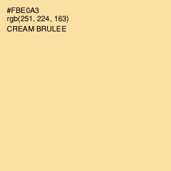 #FBE0A3 - Cream Brulee Color Image