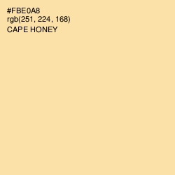 #FBE0A8 - Cape Honey Color Image