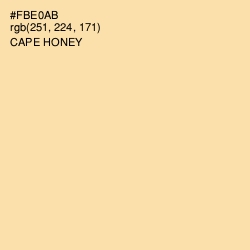 #FBE0AB - Cape Honey Color Image