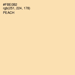 #FBE0B2 - Peach Color Image