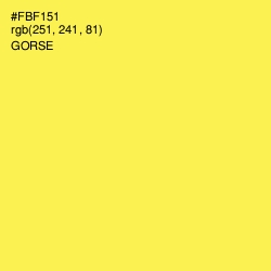#FBF151 - Gorse Color Image