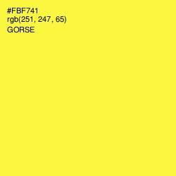 #FBF741 - Gorse Color Image