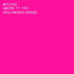 #FC119D - Hollywood Cerise Color Image