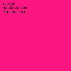 #FC1681 - Persian Rose Color Image