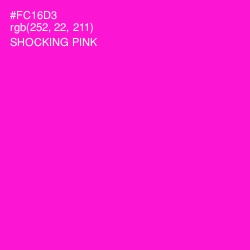 #FC16D3 - Shocking Pink Color Image