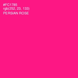 #FC1785 - Persian Rose Color Image