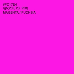 #FC17E4 - Magenta / Fuchsia Color Image