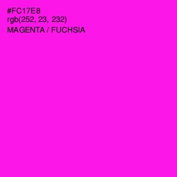 #FC17E8 - Magenta / Fuchsia Color Image