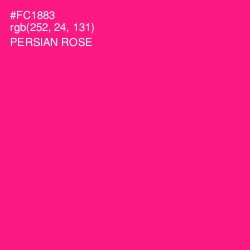 #FC1883 - Persian Rose Color Image