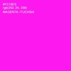 #FC18EE - Magenta / Fuchsia Color Image
