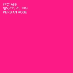 #FC1A86 - Persian Rose Color Image