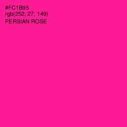 #FC1B95 - Persian Rose Color Image