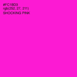 #FC1BD3 - Shocking Pink Color Image