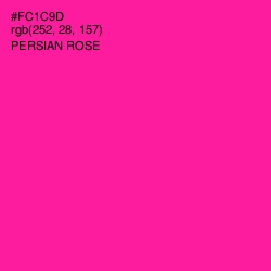 #FC1C9D - Persian Rose Color Image