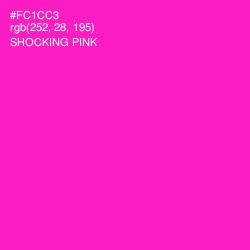 #FC1CC3 - Shocking Pink Color Image