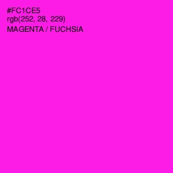 #FC1CE5 - Magenta / Fuchsia Color Image