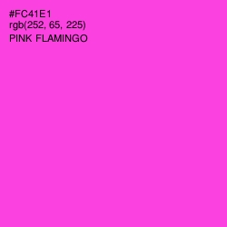 #FC41E1 - Pink Flamingo Color Image