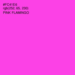 #FC41E6 - Pink Flamingo Color Image