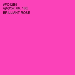 #FC42B9 - Brilliant Rose Color Image