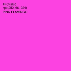 #FC42E0 - Pink Flamingo Color Image