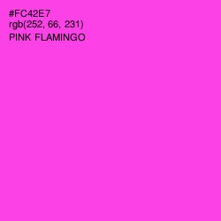 #FC42E7 - Pink Flamingo Color Image