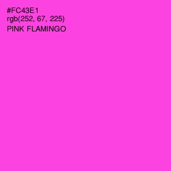 #FC43E1 - Pink Flamingo Color Image