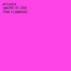 #FC43E8 - Pink Flamingo Color Image