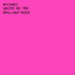 #FC44BD - Brilliant Rose Color Image