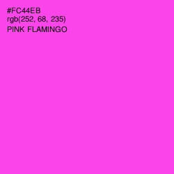 #FC44EB - Pink Flamingo Color Image