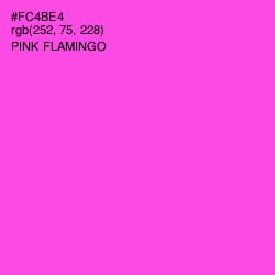 #FC4BE4 - Pink Flamingo Color Image