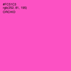 #FC51C3 - Orchid Color Image