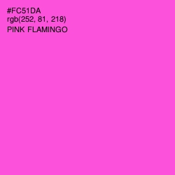 #FC51DA - Pink Flamingo Color Image