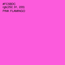 #FC5BDC - Pink Flamingo Color Image