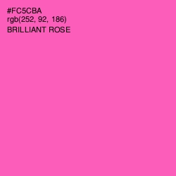 #FC5CBA - Brilliant Rose Color Image