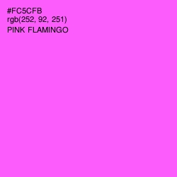 #FC5CFB - Pink Flamingo Color Image