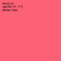 #FC6175 - Brink Pink Color Image