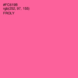 #FC619B - Froly Color Image