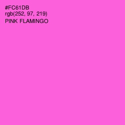#FC61DB - Pink Flamingo Color Image
