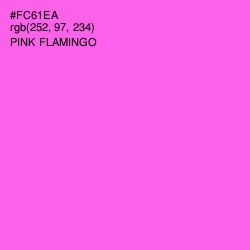 #FC61EA - Pink Flamingo Color Image