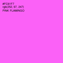 #FC61F7 - Pink Flamingo Color Image