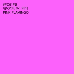 #FC61FB - Pink Flamingo Color Image