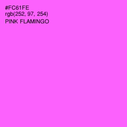#FC61FE - Pink Flamingo Color Image