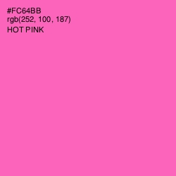 #FC64BB - Hot Pink Color Image