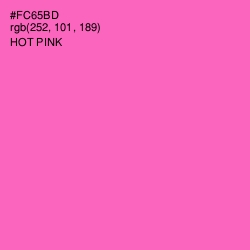 #FC65BD - Hot Pink Color Image