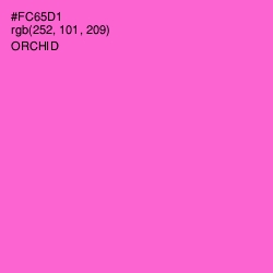 #FC65D1 - Orchid Color Image