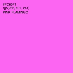 #FC65F1 - Pink Flamingo Color Image