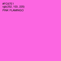 #FC67E1 - Pink Flamingo Color Image